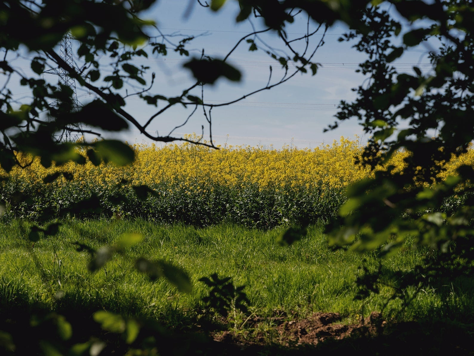 MOODBOARD / Escaping to The Lost Garden Retreat