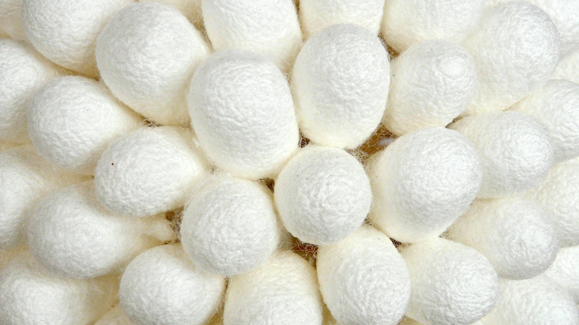 Silk Free Pledge by 2029