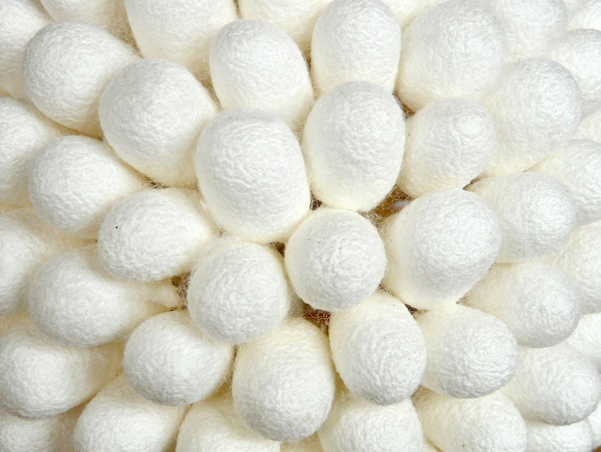 Silk Free Pledge by 2029