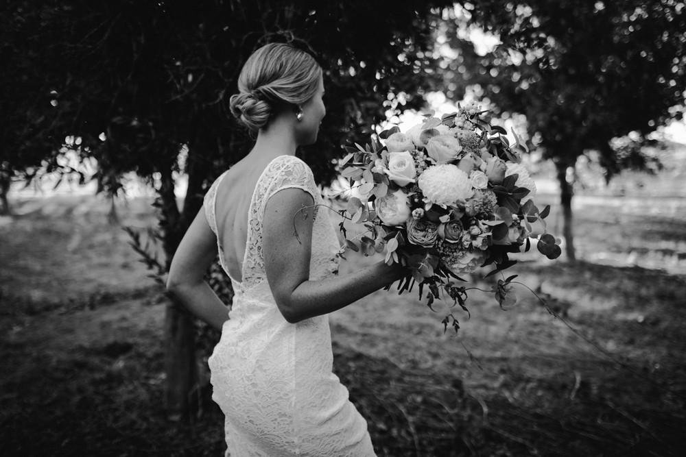 Bec - Sabina Motasem