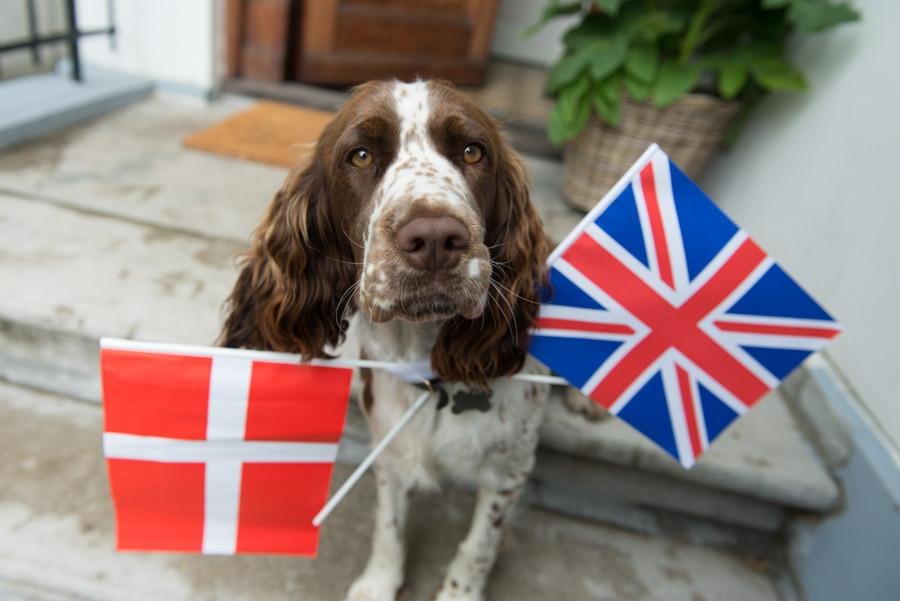 Birgitte - Sabina Motasem