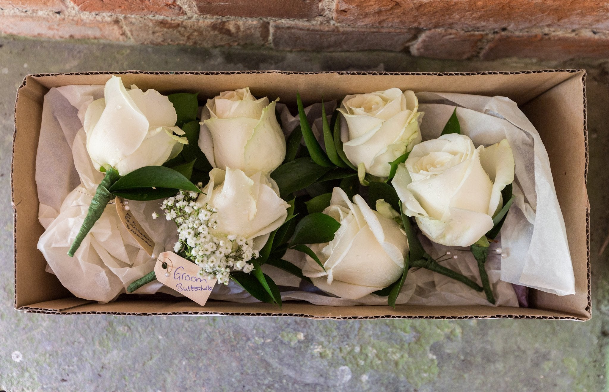 Emma - Sabina Motasem