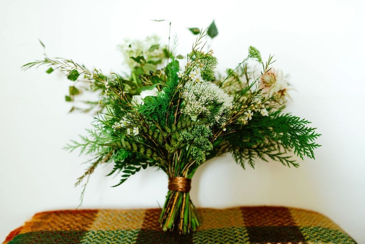 Louise - Sabina Motasem