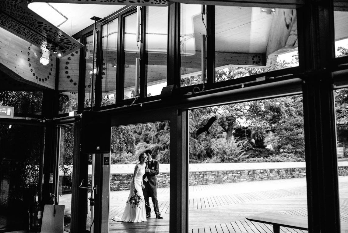 Louise - Sabina Motasem