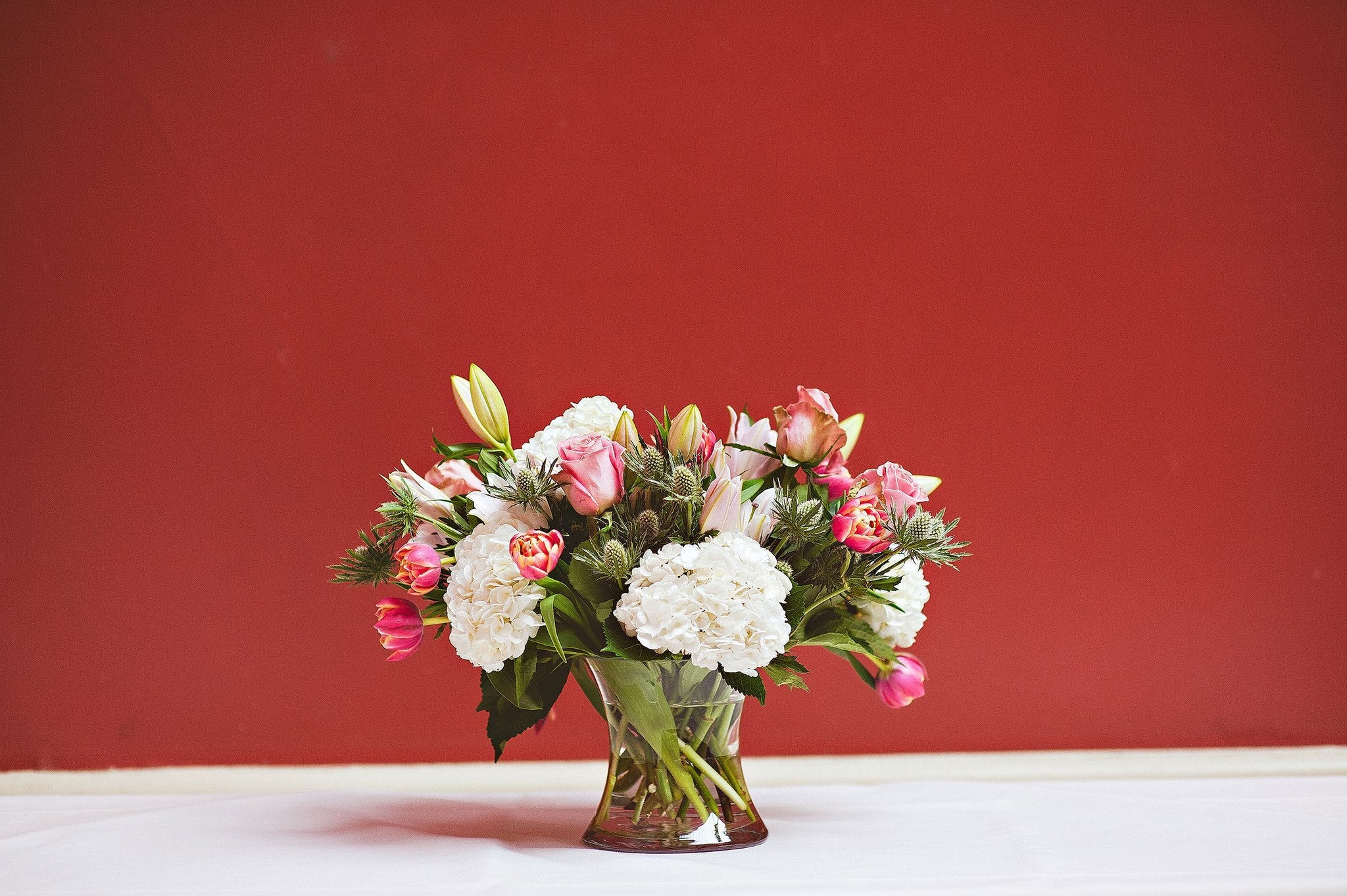 Mandy - Sabina Motasem