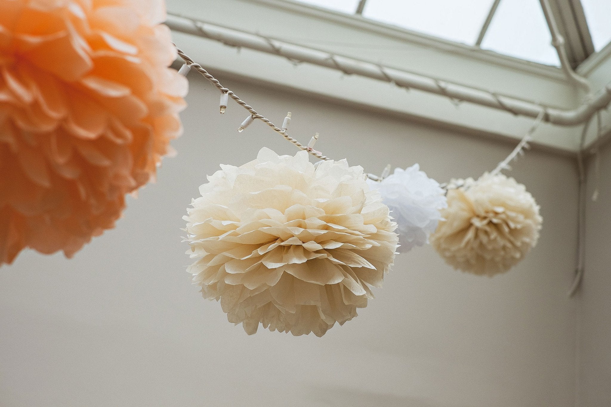 Mandy - Sabina Motasem