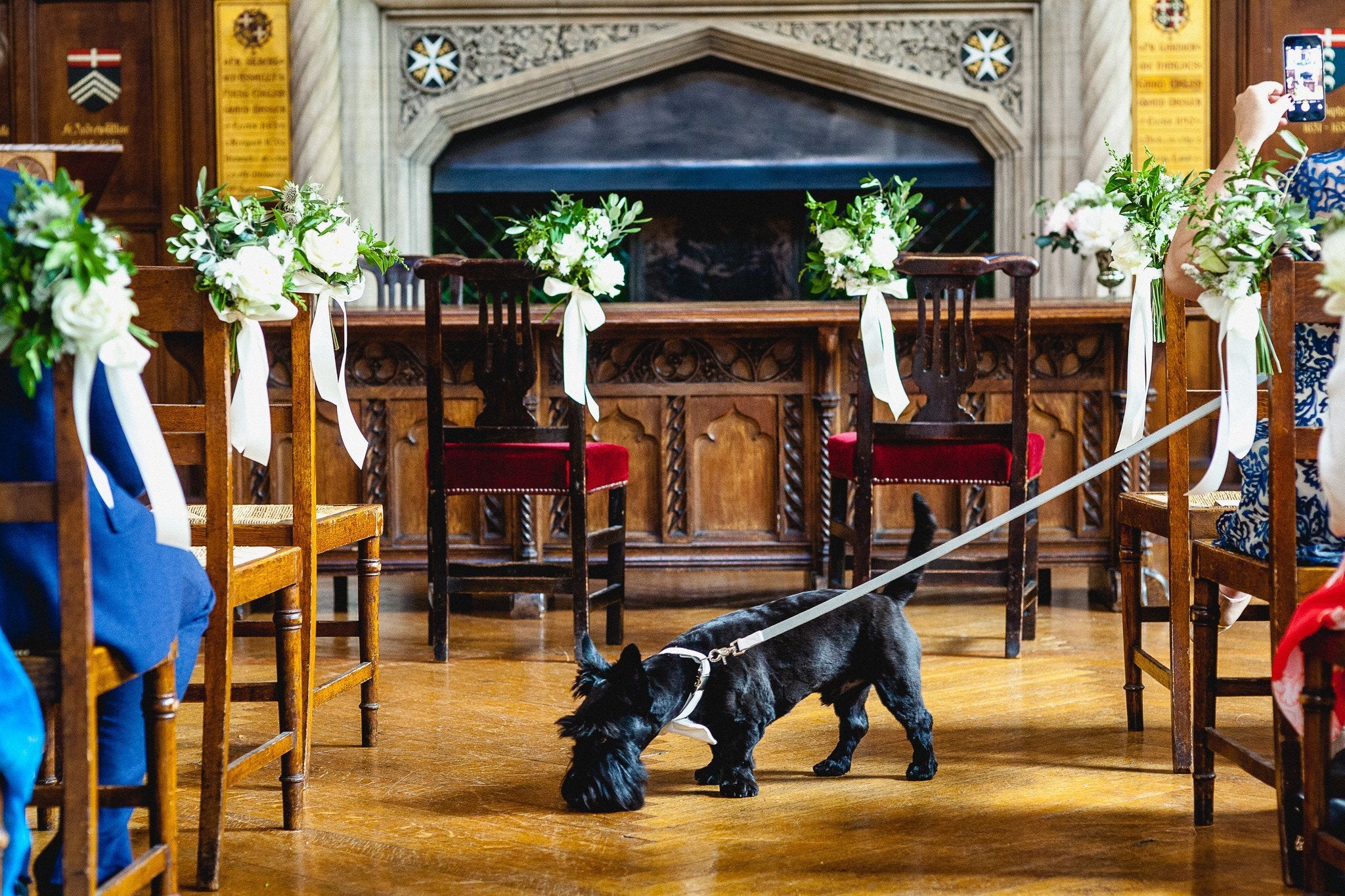 Stephanie - Sabina Motasem