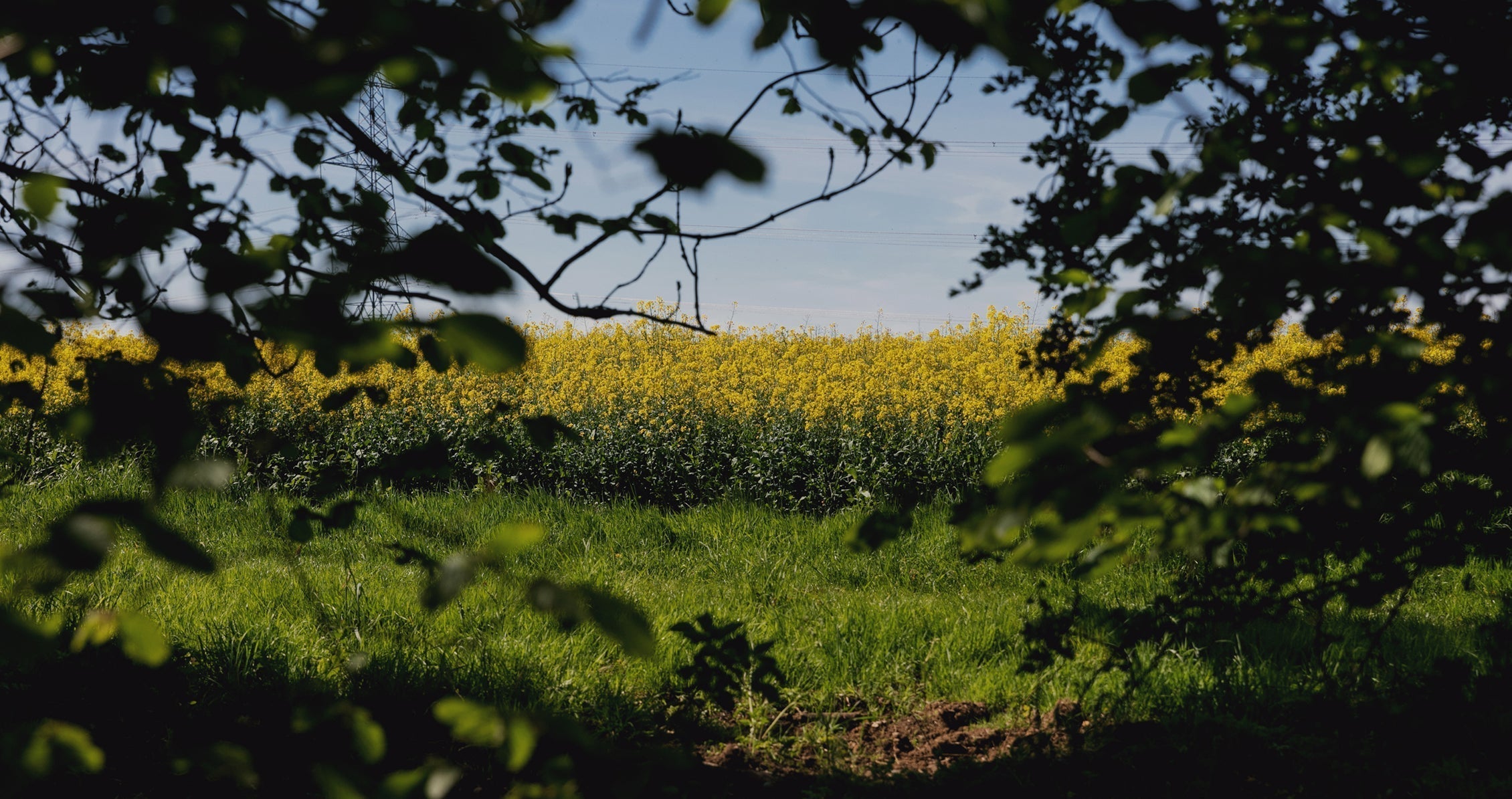 MOODBOARD / Escaping to The Lost Garden Retreat