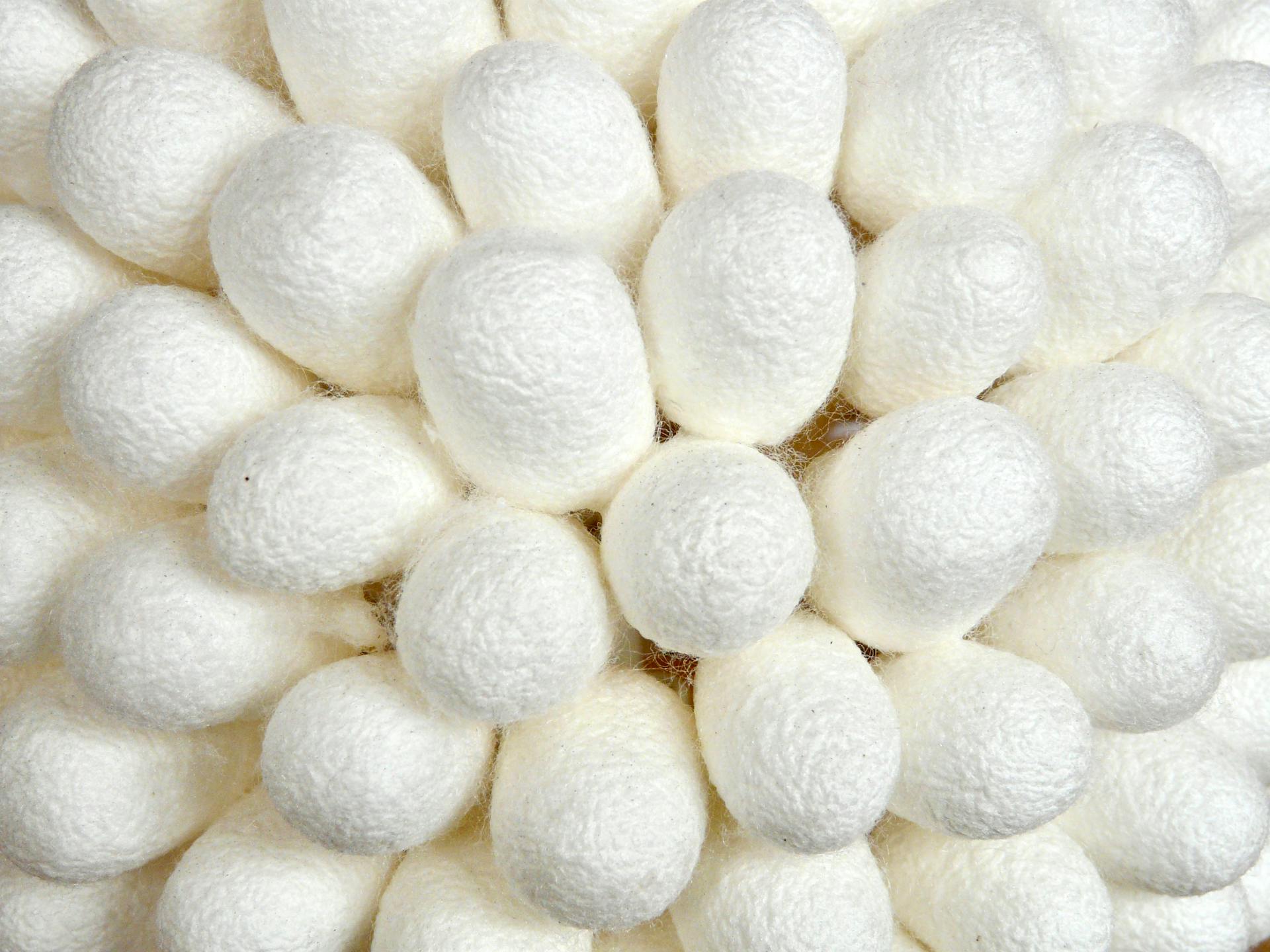 Silk Free Pledge by 2029