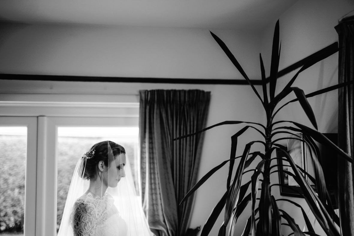 Louise - Sabina Motasem